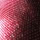 4 common Infectious and viral Diseases