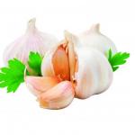 The health benefits of garlic
