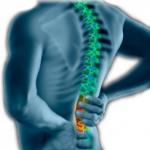 An Insight Into The Top Causes of Backache